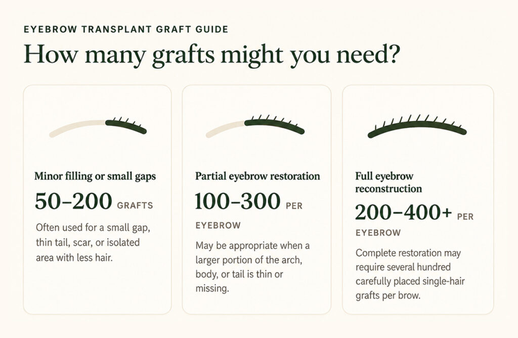 Eyebrow transplant graft guide showing 50–200 grafts for small gaps and up to 400+ for full reconstruction.