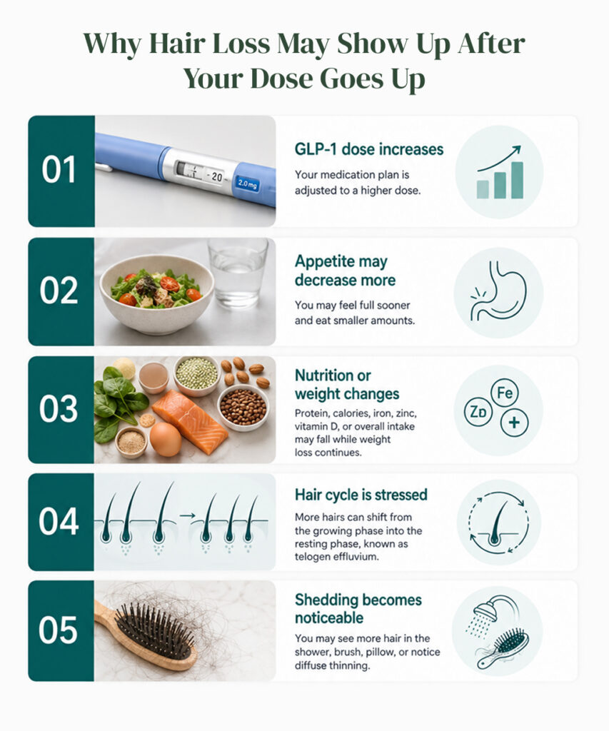 Infographic showing how a GLP-1 dose increase may reduce appetite, affect nutrition, stress hair cycles, and cause shedding.